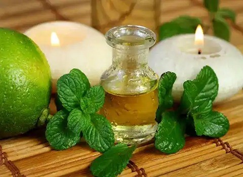 تصویر 4 از فروش عرق گیاهی نعناع + قیمت خرید به صرفه